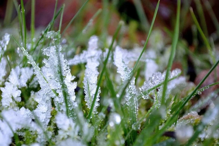 Frost kehrt in die Ukraine zurück: Wie wird das Wetter in den ersten Maitagen sein