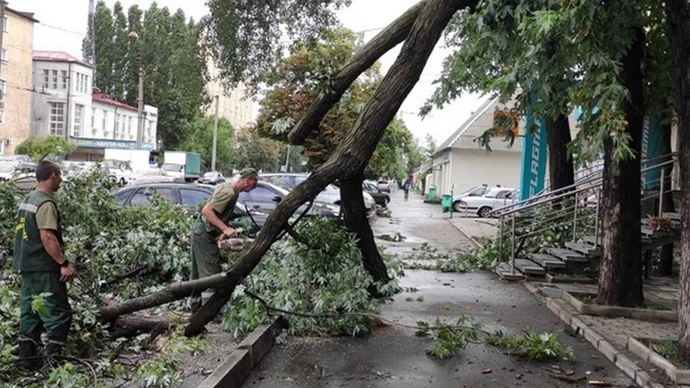 W Charkowie szaleje zła pogoda — na dziecko spadło drzewo